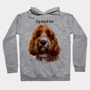 Red Spoodle / Cockapoo Dog Hoodie